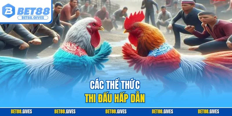 Các thể thức thi đấu hấp dẫn