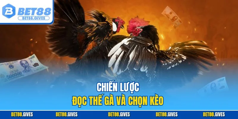 Chiến lược đọc thế gà và chọn kèo 