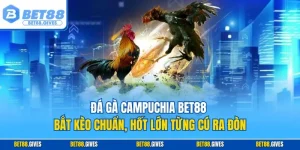 Đá gà Campuchia BET88