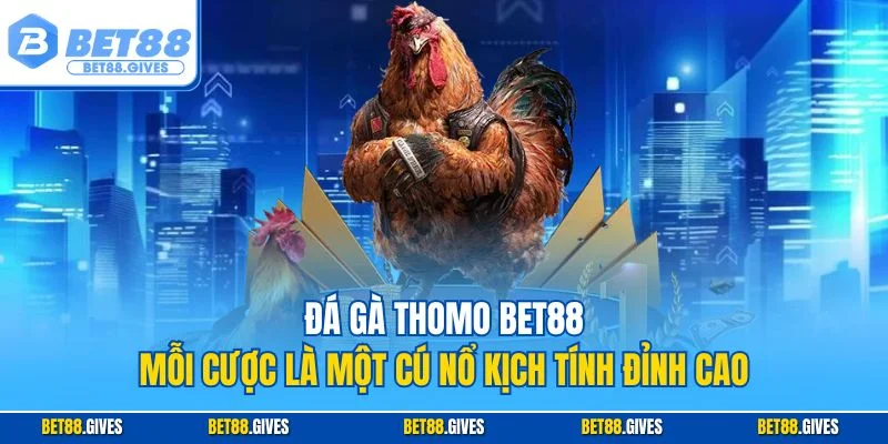 Đá gà Thomo BET88