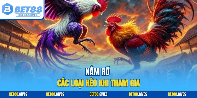 Nắm rõ các loại kèo khi tham gia