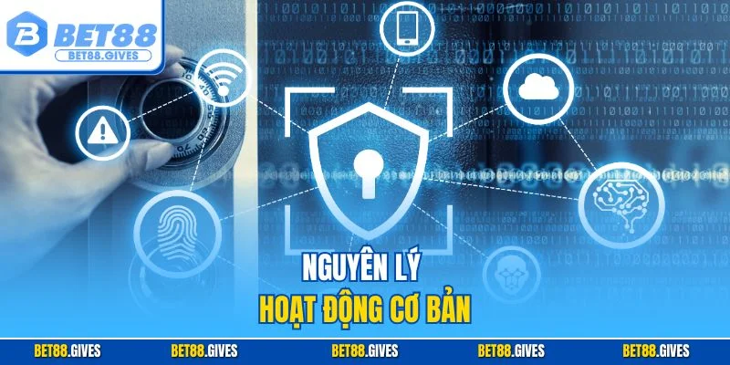 Nguyên lý hoạt động cơ bản