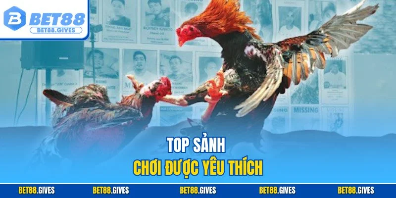 Top sảnh chơi được yêu thích