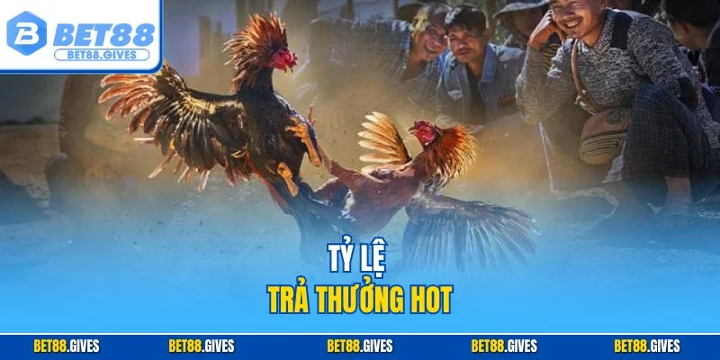 Tỷ lệ trả thưởng hot